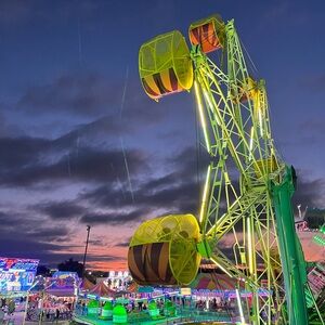 Meet your Posher, Diana